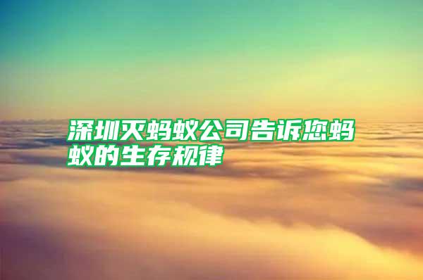 深圳滅螞蟻公司告訴您螞蟻的生存規(guī)律