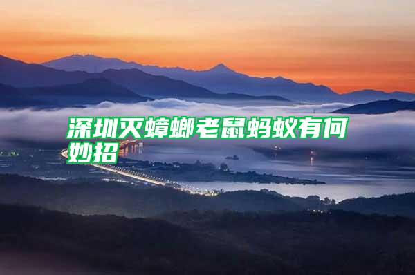 深圳滅蟑螂老鼠螞蟻有何妙招