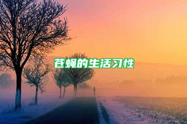 蒼蠅的生活習(xí)性
