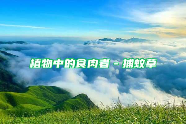 植物中的食肉者－捕蚊草
