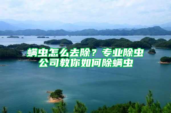 螨蟲怎么去除？專業(yè)除蟲公司教你如何除螨蟲