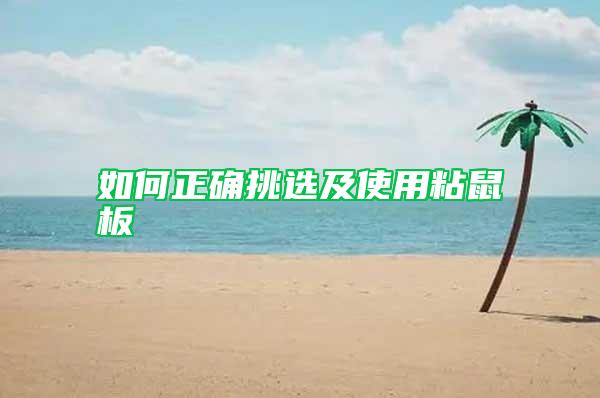 如何正確挑選及使用粘鼠板
