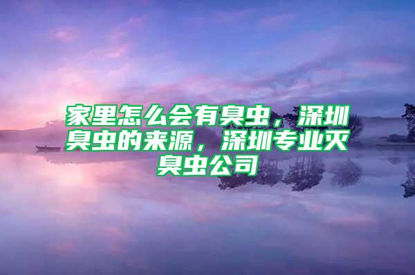 家里怎么會(huì)有臭蟲，深圳臭蟲的來源，深圳專業(yè)滅臭蟲公司
