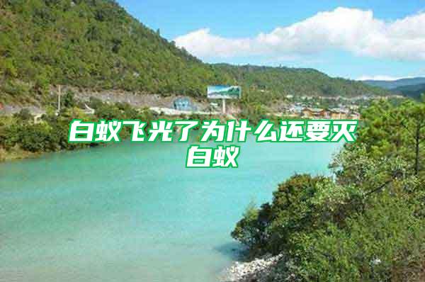 白蟻飛光了為什么還要滅白蟻