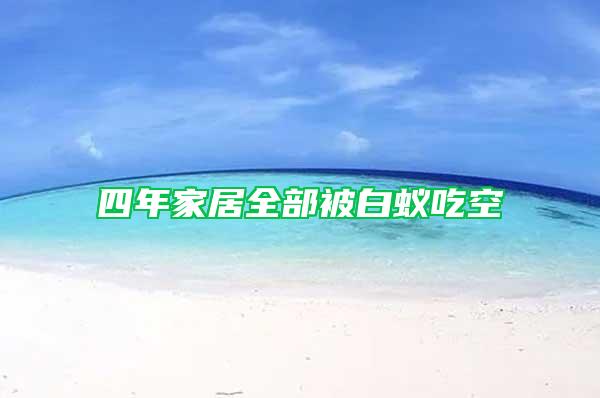 四年家居全部被白蟻吃空