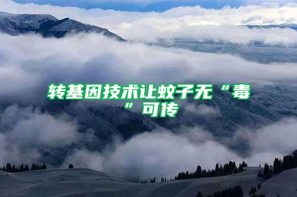 轉(zhuǎn)基因技術(shù)讓蚊子無“毒”可傳
