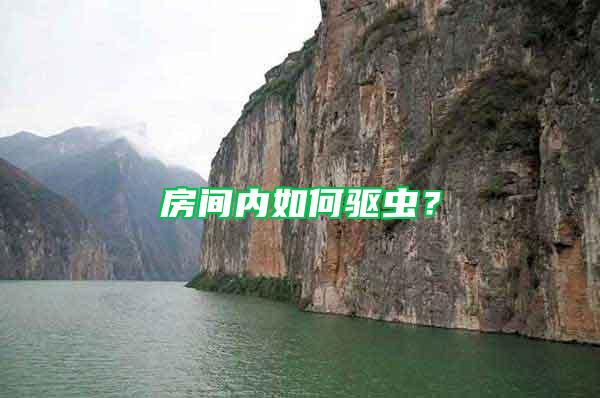 房間內(nèi)如何驅(qū)蟲？