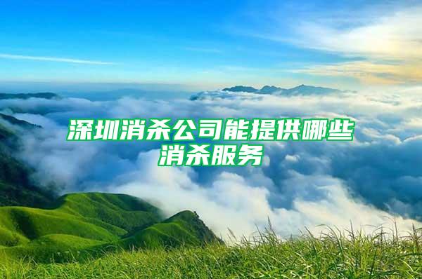 深圳消殺公司能提供哪些消殺服務(wù)