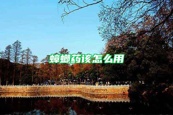 蟑螂藥該怎么用