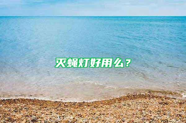 滅蠅燈好用么？