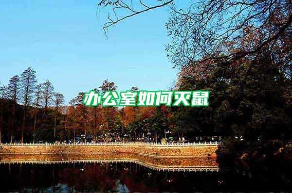辦公室如何滅鼠