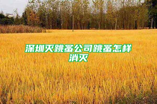 深圳滅跳蚤公司跳蚤怎樣消滅