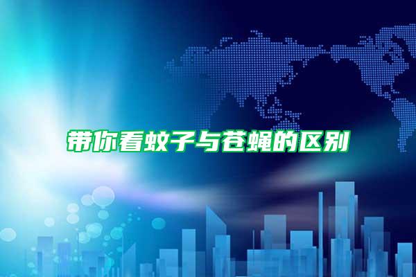 帶你看蚊子與蒼蠅的區(qū)別
