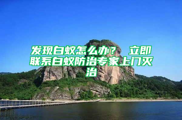 發(fā)現(xiàn)白蟻怎么辦？ 立即聯(lián)系白蟻防治專家上門滅治