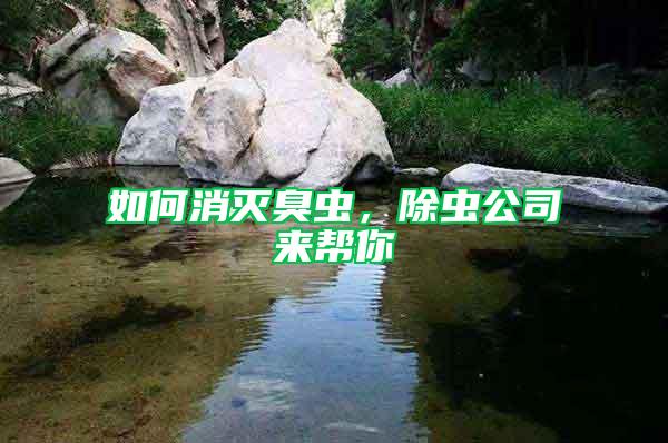 如何消滅臭蟲，除蟲公司來幫你