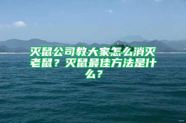 滅鼠公司教大家怎么消滅老鼠？滅鼠最佳方法是什么？