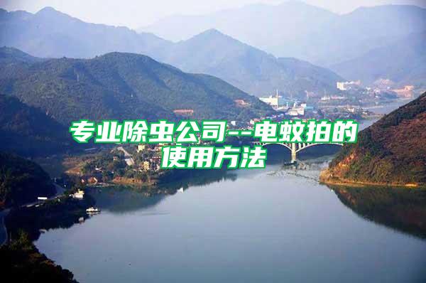 專業(yè)除蟲公司--電蚊拍的使用方法