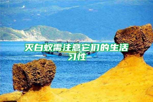 滅白蟻需注意它們的生活習性