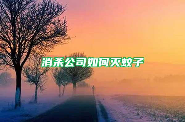 消殺公司如何滅蚊子