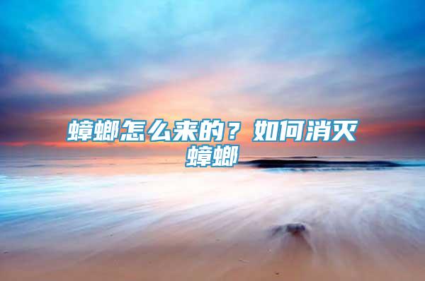 蟑螂怎么來的？如何消滅蟑螂