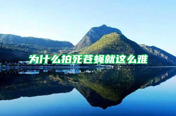 為什么拍死蒼蠅就這么難