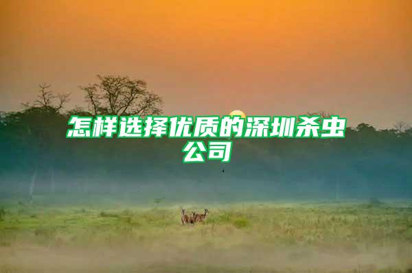 怎樣選擇優(yōu)質(zhì)的深圳殺蟲公司
