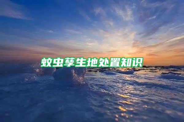 蚊蟲孳生地處置知識(shí)