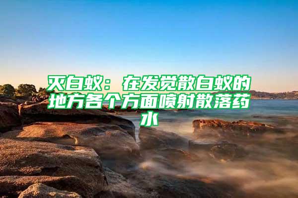 滅白蟻：在發(fā)覺散白蟻的地方各個方面噴射散落藥水