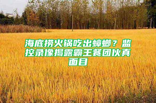 海底撈火鍋吃出蟑螂？監(jiān)控錄像揭露霸王餐團(tuán)伙真面目