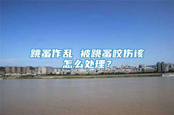 跳蚤作亂 被跳蚤咬傷該怎么處理？