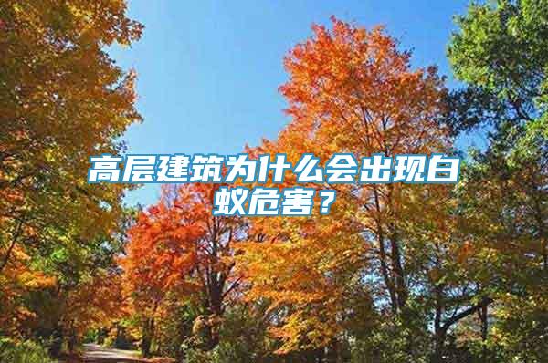 高層建筑為什么會(huì)出現(xiàn)白蟻危害？