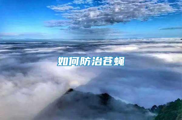 如何防治蒼蠅
