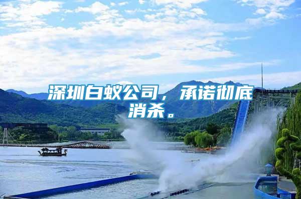 深圳白蟻公司，承諾徹底消殺。
