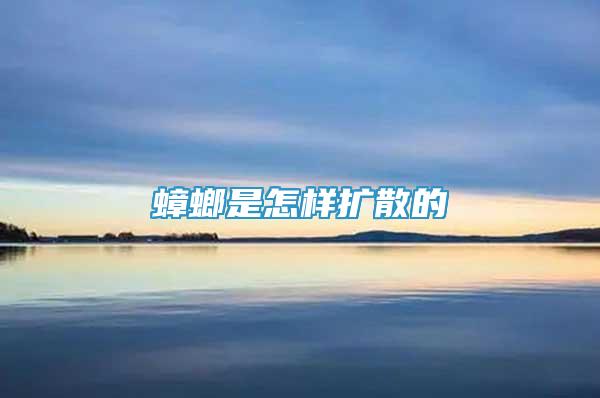 蟑螂是怎樣擴散的