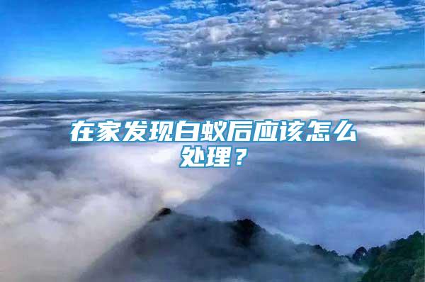 在家發(fā)現(xiàn)白蟻后應(yīng)該怎么處理？