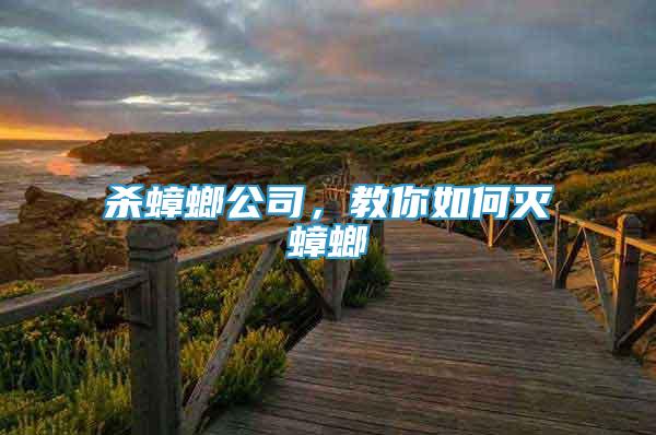 殺蟑螂公司，教你如何滅蟑螂