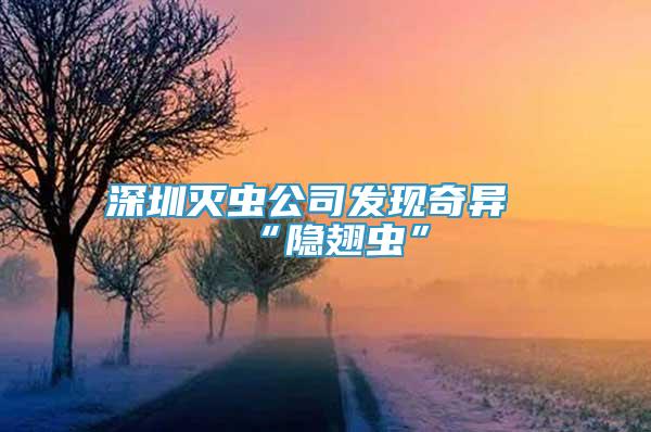 深圳滅蟲公司發(fā)現(xiàn)奇異“隱翅蟲”