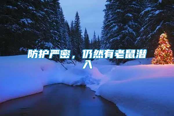 防護(hù)嚴(yán)密，仍然有老鼠潛入
