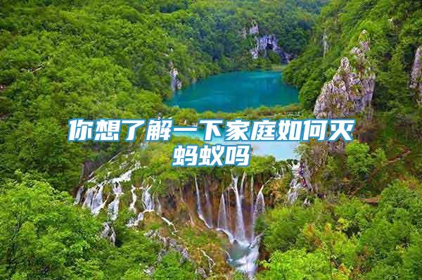 你想了解一下家庭如何滅螞蟻嗎