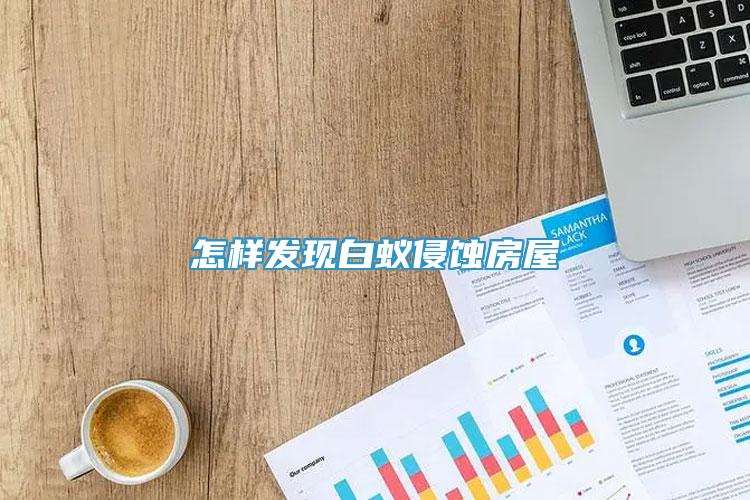 怎樣發(fā)現(xiàn)白蟻侵蝕房屋