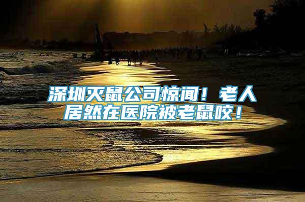深圳滅鼠公司驚聞！老人居然在醫(yī)院被老鼠咬！