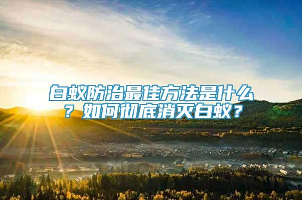 白蟻防治最佳方法是什么？如何徹底消滅白蟻？