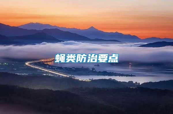 蠅類防治要點
