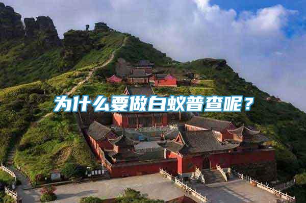 為什么要做白蟻普查呢？