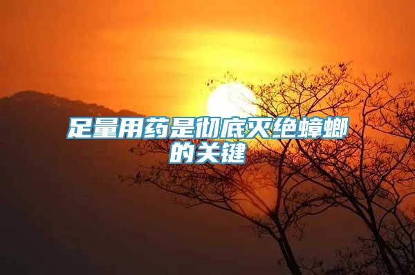 足量用藥是徹底滅絕蟑螂的關(guān)鍵