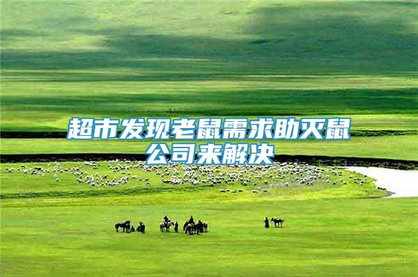 超市發(fā)現(xiàn)老鼠需求助滅鼠公司來解決