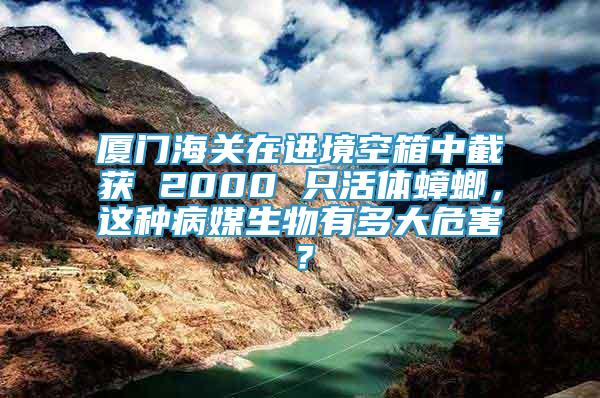 廈門(mén)海關(guān)在進(jìn)境空箱中截獲 2000 只活體蟑螂，這種病媒生物有多大危害？