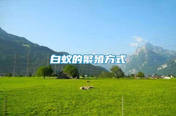 白蟻的繁殖方式