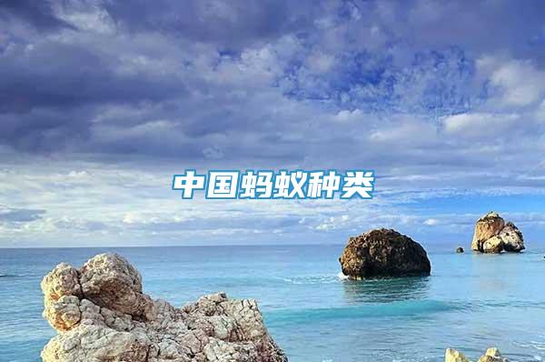 中國螞蟻種類