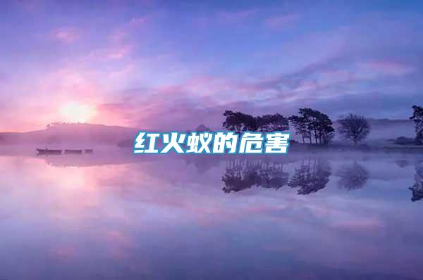 紅火蟻的危害